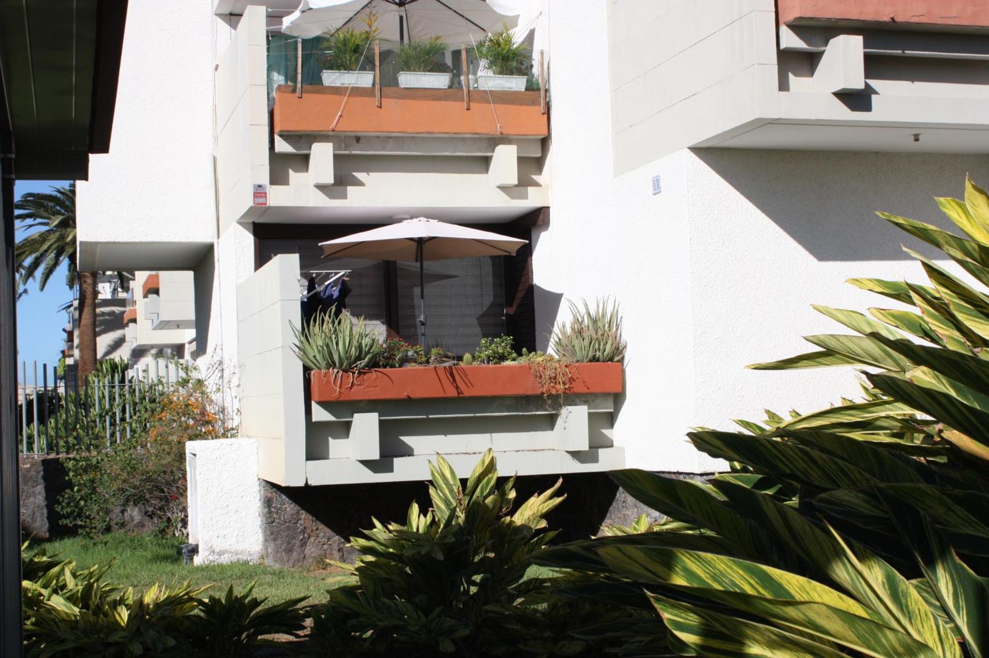 شقة Primavera Tenerife Sur أرونا المظهر الخارجي الصورة