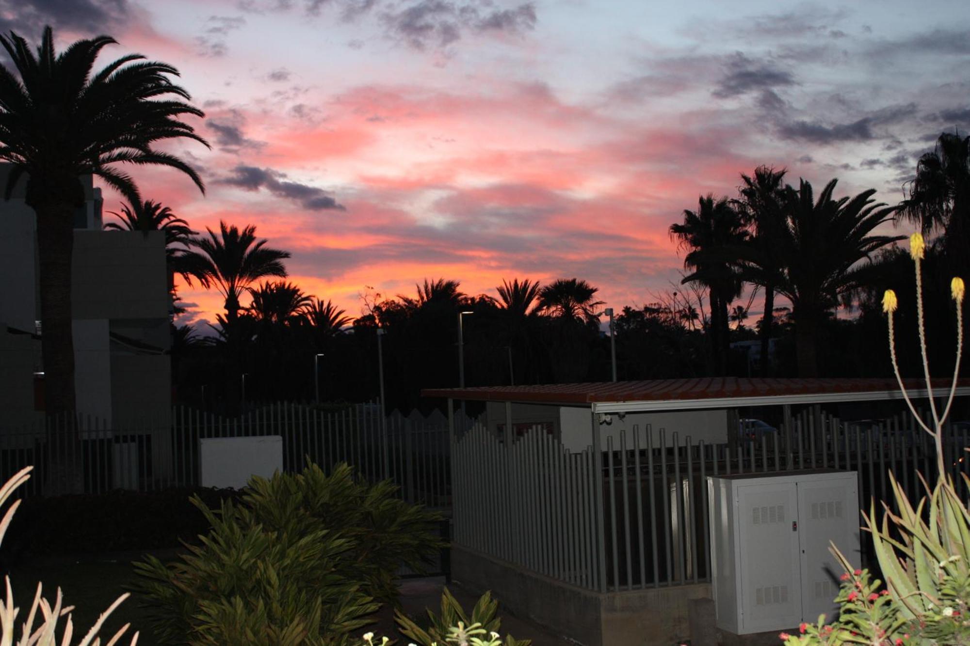 شقة Primavera Tenerife Sur أرونا المظهر الخارجي الصورة