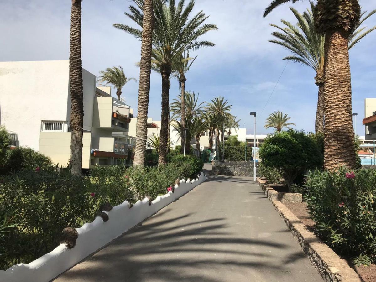 شقة Primavera Tenerife Sur أرونا المظهر الخارجي الصورة